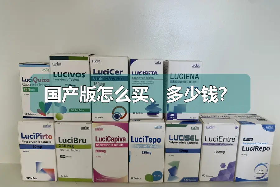 国产版怎么买、多少钱?
